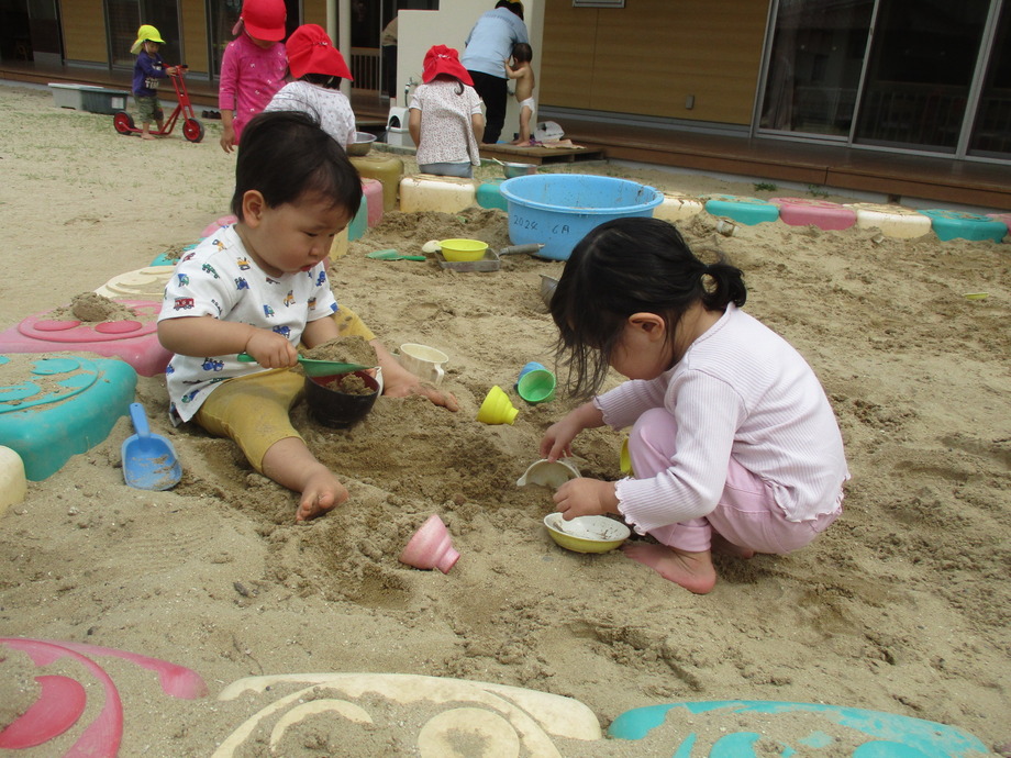 0x690 img 7639